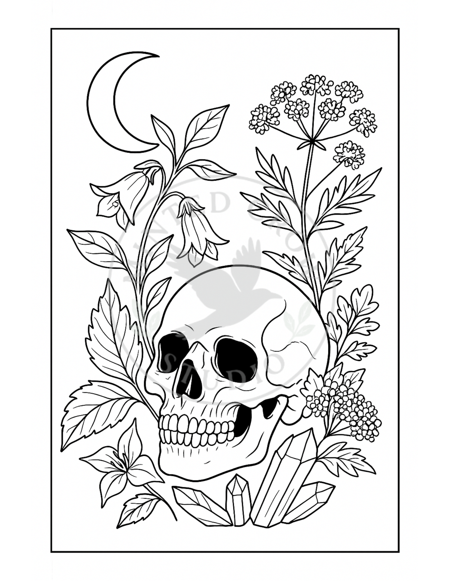 Nightshade Bloom - Printable Coloring Page