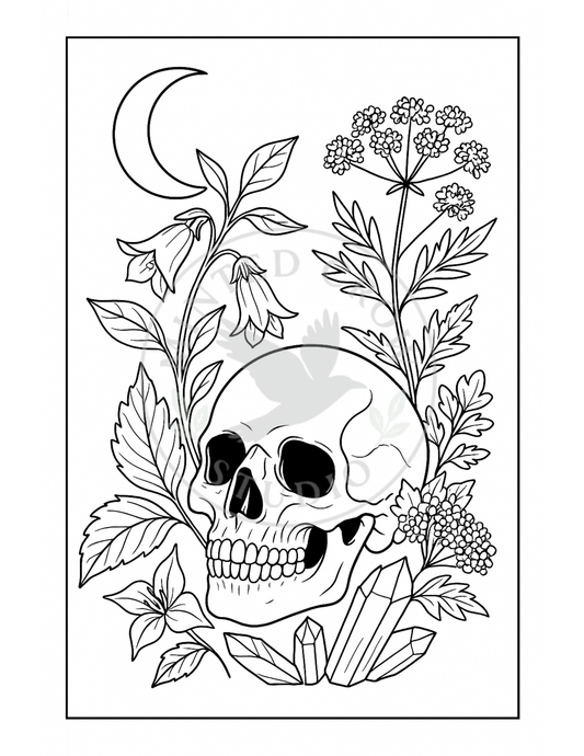 Nightshade Bloom - Printable Coloring Page